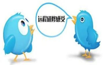 2024教师网络研修总结7篇