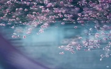 上一季度工作总结推荐5篇