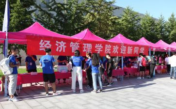迎新年教案优秀6篇