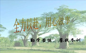 白板使用心得5篇