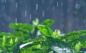 关于雨的音乐教案最新7篇
