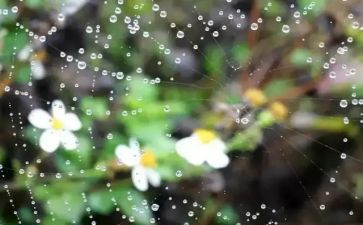 雨天地滑教案推荐8篇