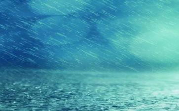 下雨了作文500字6篇