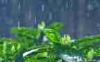 中班《雨》的教案参考7篇