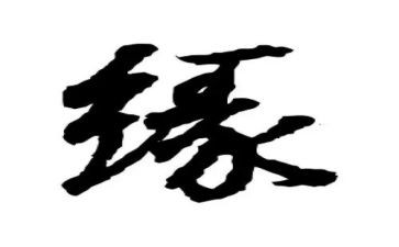 与书结缘作文5篇
