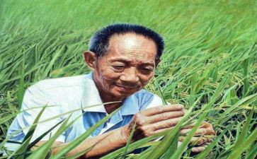 袁隆平心得体会范文8篇