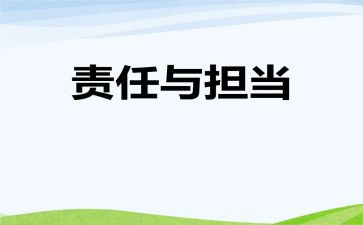 村书记主体责任述职报告5篇