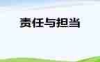 村书记主体责任述职报告5篇