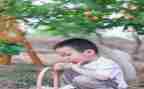 父与子摘果子大班教案8篇