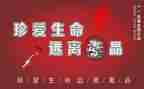 学习张子权事迹的心得体会优质7篇