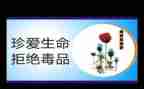 学习张子权事迹的心得体会通用5篇