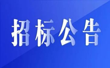 招标工作个人年终总结5篇