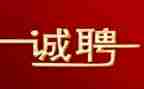 招聘前的工作计划参考6篇