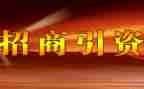 招商工作试用期工作总结5篇