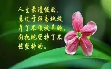 哲理演讲稿优质6篇