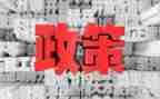 小学生双减政策的心得体会8篇