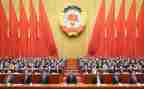 县政协委员述职报告5篇