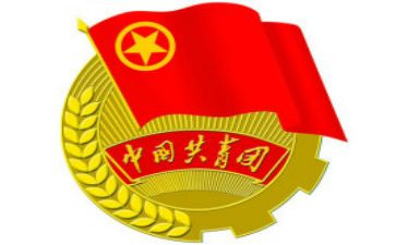 镇团委年度工作总结7篇