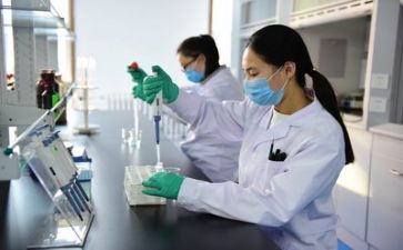 质量月活动方案优质6篇