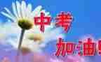 中考作文800字通用7篇