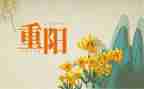 村重阳节活动方案策划优质8篇
