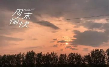 周末庆活动方案8篇