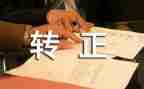 出纳转正个人总结8篇