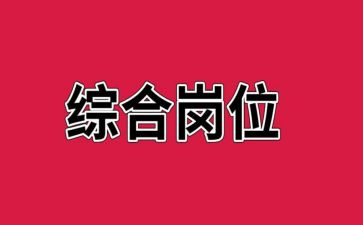 2024年综合岗工作总结推荐5篇