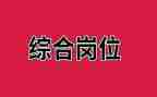 2024年综合岗工作总结参考8篇