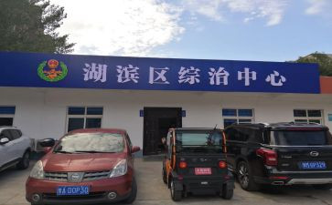 综治年终工作总结6篇