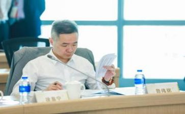 区总助理述职报告7篇