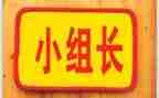 组组长述职报告7篇