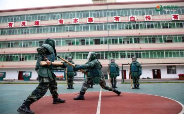 2024年组训工作总结6篇